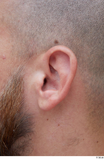 Street  633 ear 0001.jpg